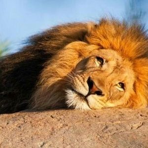 Meet your Posher, Kirstin